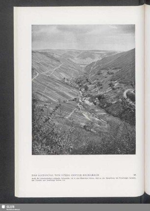 Das Seitental Von Steeg Hinter Bacharach