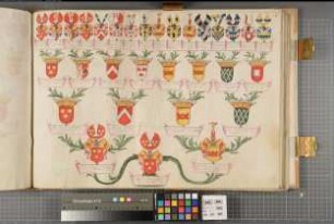 Proband: Spiegel, Theodor Hermann [Bernhard] von; Vater: Spiegel, Johann Everhard von; Mutter: Schade, Josina Maria von: Westfalen, Hzgtm, Ritterschaft