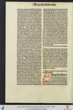 Remedium defectuum