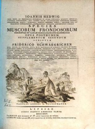 Ioannis Hedwig Med. Doct. ac Professoris Botanices ... Species mvscorvm Frondosorvm descriptae et tabvlis aeneis coloratis illvstratae : opvs postvmvm, 2,1,2 : Tabulis aeneis L. illustrata