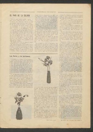 Las flores y los perfumes
