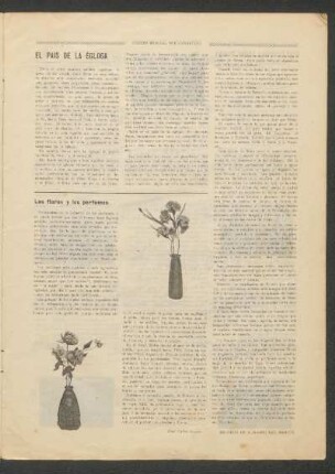 Las flores y los perfumes