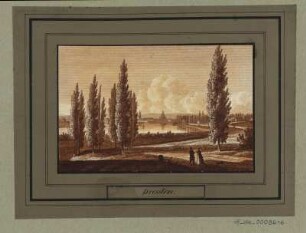 Dresden von der Bautzner Straße aus gesehen, Radierung, 1840 : Dresden, [ca. 1840]. - 1 Kunstblatt : sepia laviert ; 10,3 x 6,7 cm