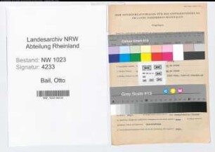 Entnazifizierung Otto Bail , geb. 29.02.1904 (Kaufmann)