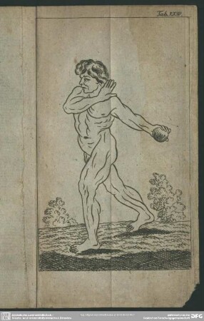 Tab.XXIV