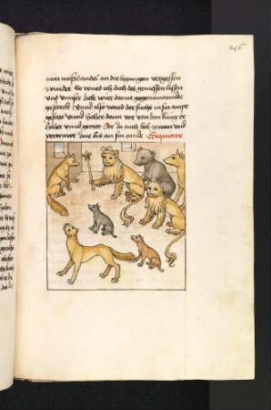 Der Löwenkönig erhebt den Fuchs vor dem Hofgesinde; (Kapitel XII: Von dem Löwen und dem Fuchs).