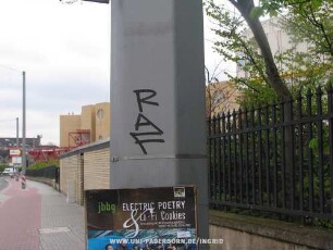 RAF