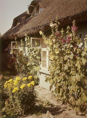 Rügen. Fischerhaus