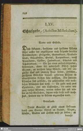 LXV. Schaafgarbe, (Achillea Millefolium)