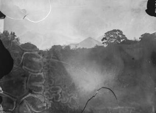 Karisimbi : Die Vulkan Karisimbi in der Gruppe der Virunga-Vulkane erhebt sich im Hintergrund. Im Vordergrund ist die Vegetation des Vulkangebietes erkennbar