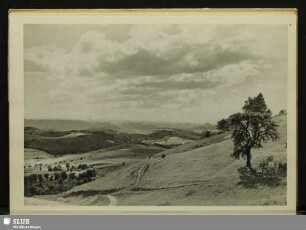 91 Blick vom Wachberg bei Saupsdorf gegen Schrammsteine und Lilienstein