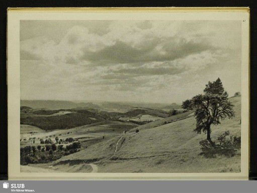 91 Blick vom Wachberg bei Saupsdorf gegen Schrammsteine und Lilienstein