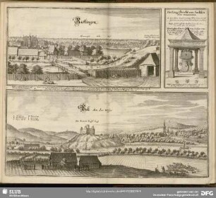 Hertzog Albrecht von Sachsen Altes Monumentum
