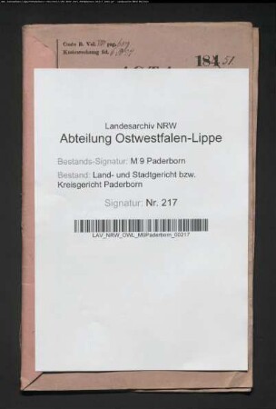 Henriette Friedhoff geb. Schnittger, Witwe des Apothekers Peter Friedhoff zu Fürstenberg