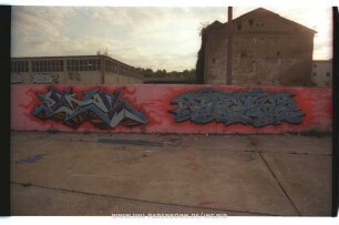 PEtS RAKiS "SYC "RENA" "omEGa"! | LOS JinEtES