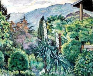 unbenannt [Blühende Yucca-Pflanze]