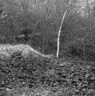 ehemalige Kalkofen; Meinhard, Leinewebershecke