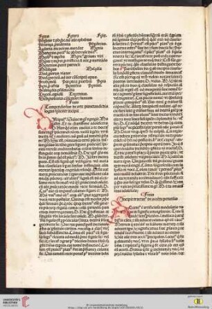 Tractatus de accentu perutilis