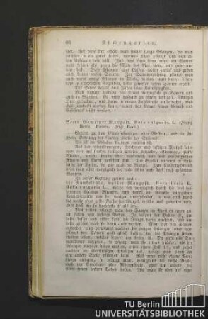 Beete. Gemeiner Mangold. Beta vulgaris. L. (Franz. Bette. Poirée. Engl. Beet.)