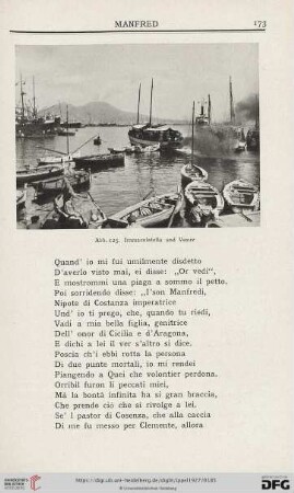 Abb. 125. Immacolatella und Vesuv
