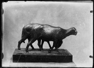 Ohne Titel (Im Atelier von August Gaul: Bronzeskulptur, zwei Schafe, nach rechts gewandt)