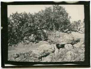 Dolmen nördl. v. Bethsaida-Julias [bei et-tell]