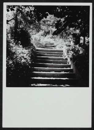 Garten von Hofmannsthals Rodauner Haus, Treppe