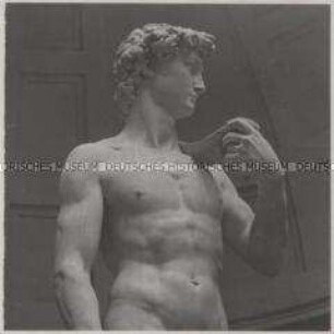 Florenz, Accademia delle Arti del Disegno (Galleria dellAccademia), Michelangelos David (Detail)