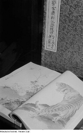 Drucke von chinesischen Tuschezeichnungen