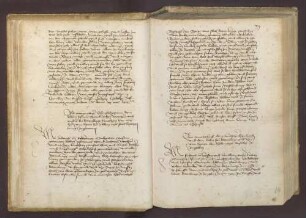 Kurfürst Friedrich I. von der Pfalz unterrichtet den Keller und die Knechte des Schlosses und Amts zu Rotenberg, die Stadt Rotenberg und die Einwohner und Untertanen der zugehörigen Dörfer und Weiler, dass er die Hälfte von Schloss und Stadt mit allen Zugehörungen an Bischof Matthias von Speyer zum Nießbrauch auf Lebtag - und nicht länger - überantwortet hat. Dem Pfalzgrafen und Bischof sollen alle Rechte und Gefälle gemeinschaftlich zustehen. Kurfürst Friedrich weist die Amtleute und Untertanen um Huldigung und Gehorsam gegenüber dem Bischof als ihrem rechtmäßigen Herrn für die verschriebene Hälfte an.