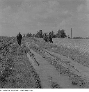 Landwirtschaft