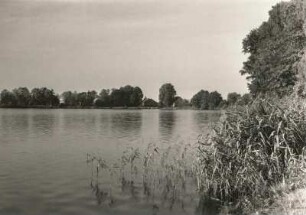 Niederlausitz. Peitz. See am Hammer (im ehem. Eisenhammer Sitz der Seenfischerei)