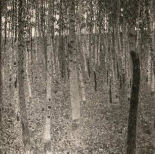 Klimt, Gustav: Buchenwald. Öl/Leinwand; 100 x 100cm. vor 1905