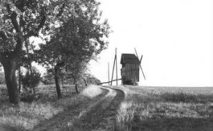 Naunhof-Fuchshain. Blick zur Bockmühle