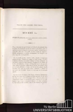Traité des arbres fruitiers. Beurré. Duh. Pyrus butyracea, fructu magno, ovoidali, cinereo, aut viridi, aut rubente, autumnali.