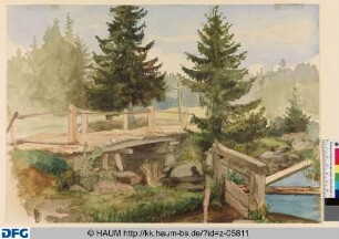 Waldlandschaft mit Brücke