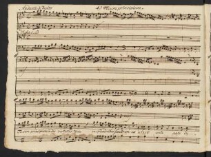 4.) Tecum principium