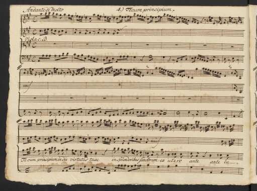 4.) Tecum principium