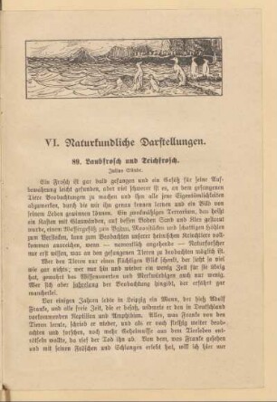 VI. Naturkundliche Darstellungen