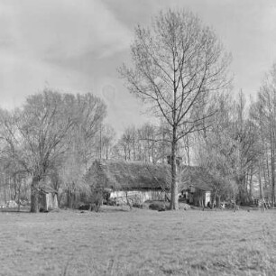 Strohgedecktes Blockhaus in Burg-Kauper. : Ze słomu skryte kładźity twar statoka w Kupaŕskich Bórkowach.