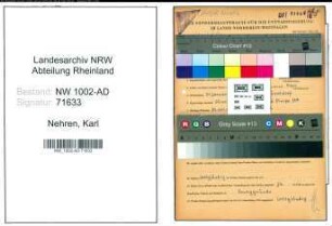 Entnazifizierung Karl Nehren, geb. 21.01.1893 (Maler)