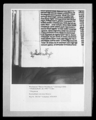 Lüneburger Bibel — Randausläufer mit einer Drolerie