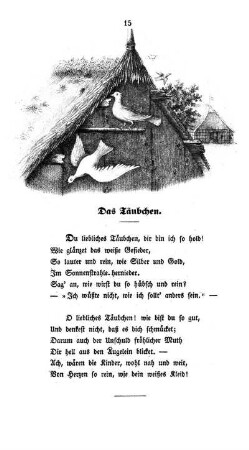 Das Täubchen.