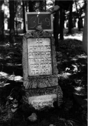 Grabstein 349 [Nir S. 221 Nr. 21.02]