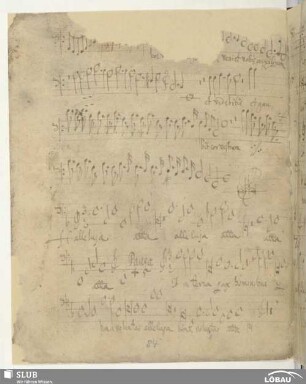 [113.] Anonymus: Alleluia et confestim