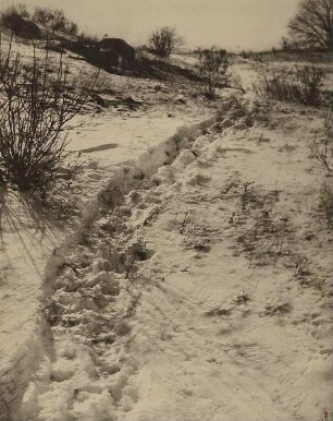 The Path through the Sheep Pasture
