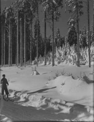 Thüringen, Rennsteig : Thüringen. Rennsteig. Winteraufnahme