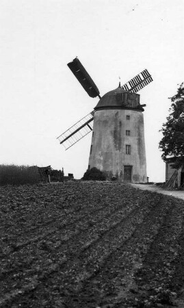 Dahlen-Kleinböhla. Vorsdorfmühle, Turmholländer (Negativ Dr. Gleisberg, Grimma)