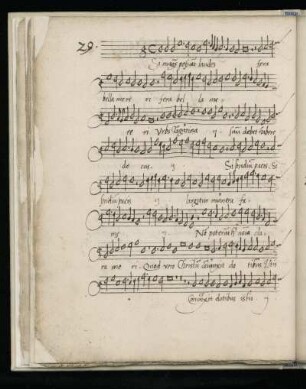 29. Si magnas possunt laudes
