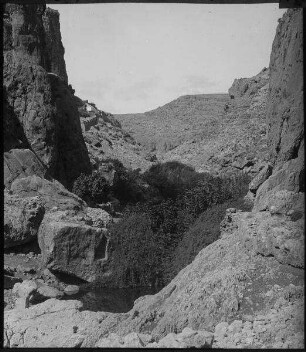 w. [wadi] fara unterhalb d. R. Blick von W.